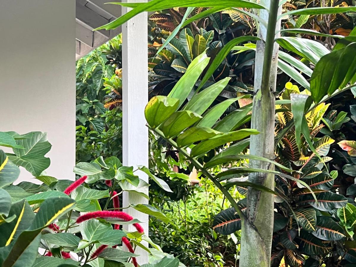 Jamaica Colors Hotel And Eco-Retreat Port Antonio Bagian luar foto