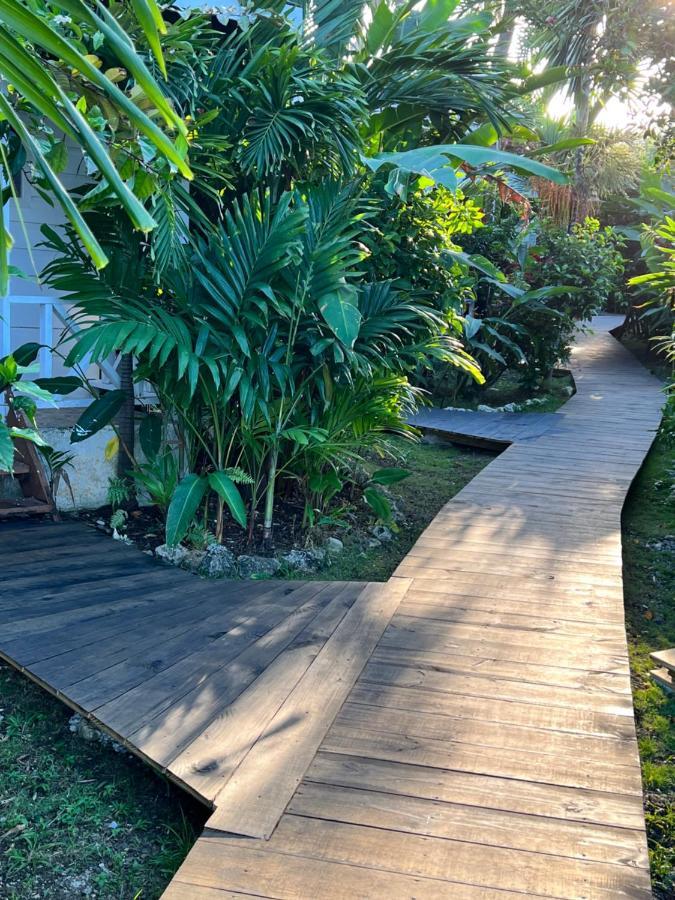 Jamaica Colors Hotel And Eco-Retreat Port Antonio Bagian luar foto