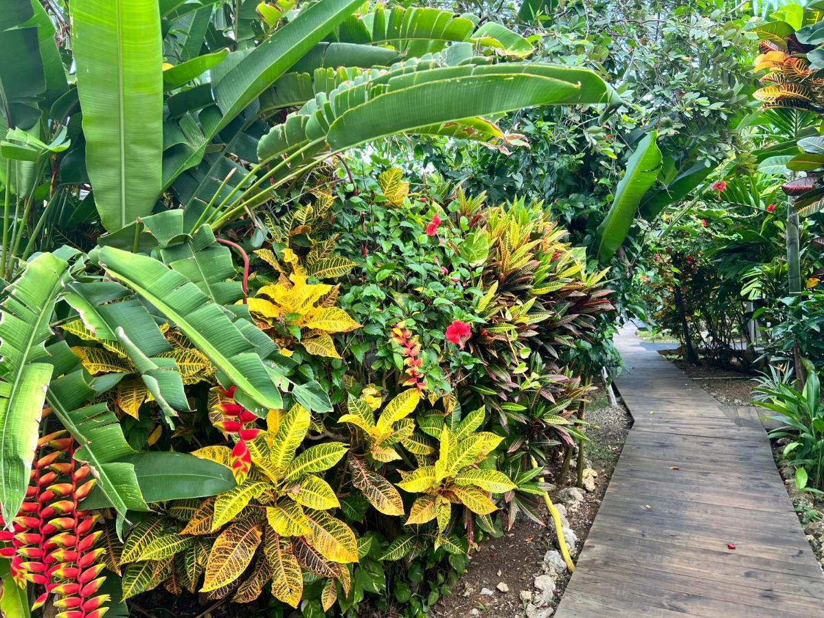 Jamaica Colors Hotel And Eco-Retreat Port Antonio Bagian luar foto