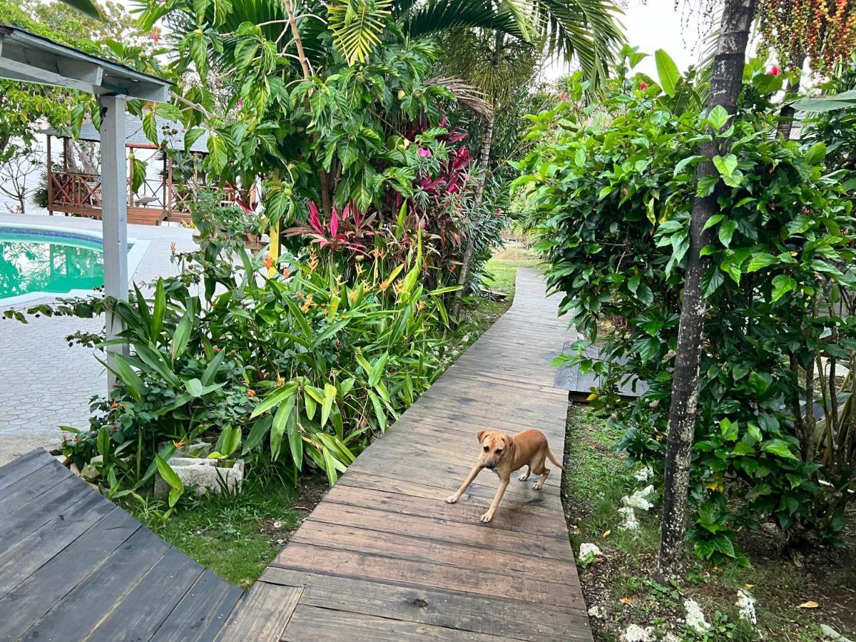 Jamaica Colors Hotel And Eco-Retreat Port Antonio Bagian luar foto