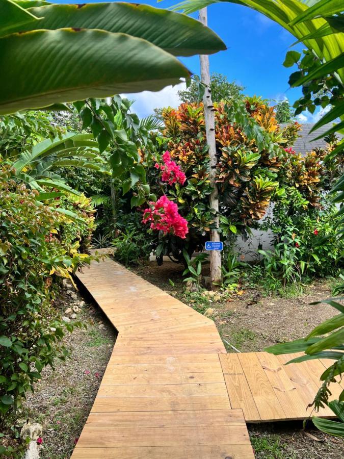 Jamaica Colors Hotel And Eco-Retreat Port Antonio Bagian luar foto