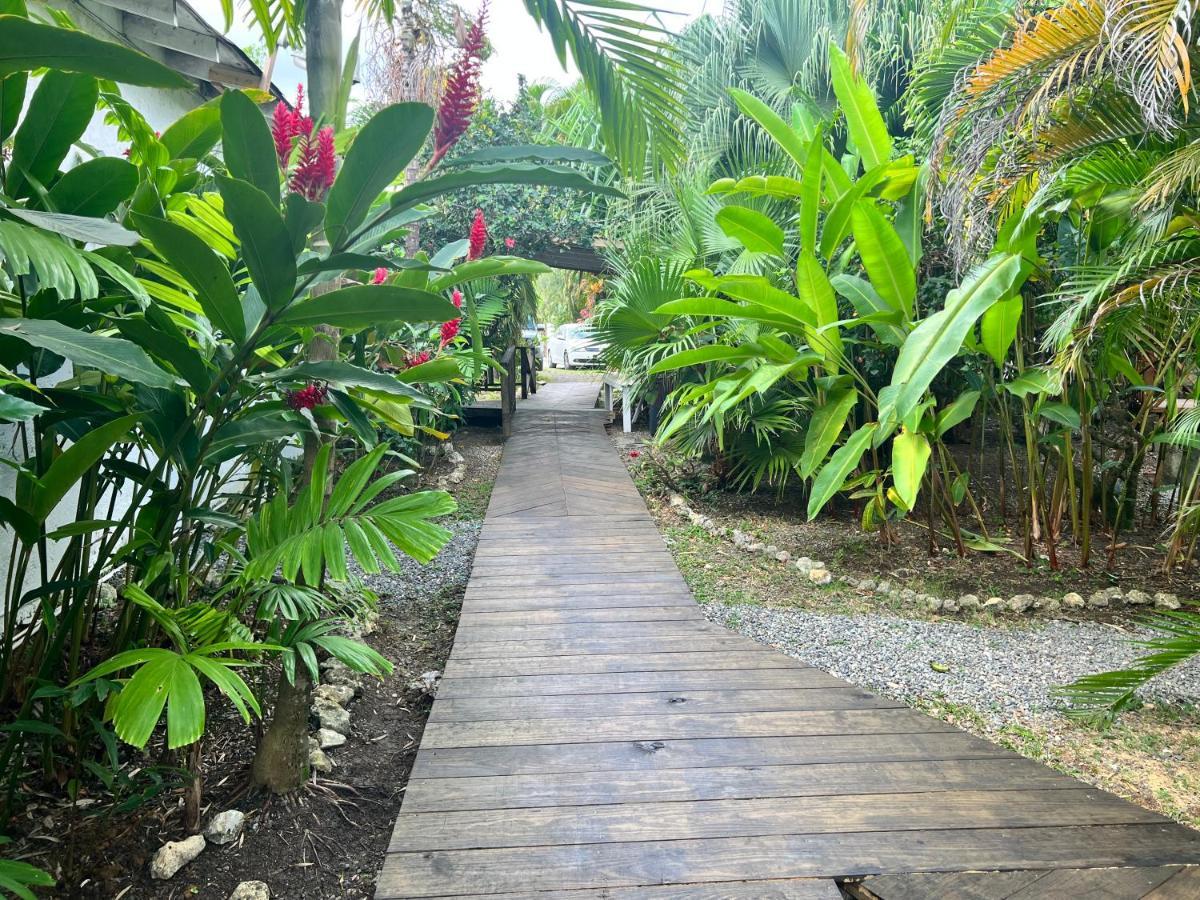 Jamaica Colors Hotel And Eco-Retreat Port Antonio Bagian luar foto