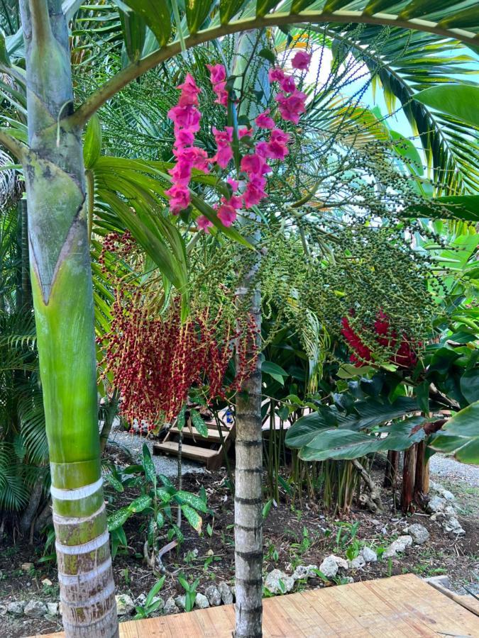 Jamaica Colors Hotel And Eco-Retreat Port Antonio Bagian luar foto